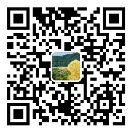 满堂彩最新网址